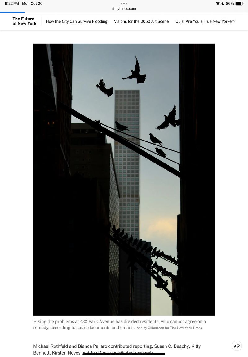 IMG_0027.png