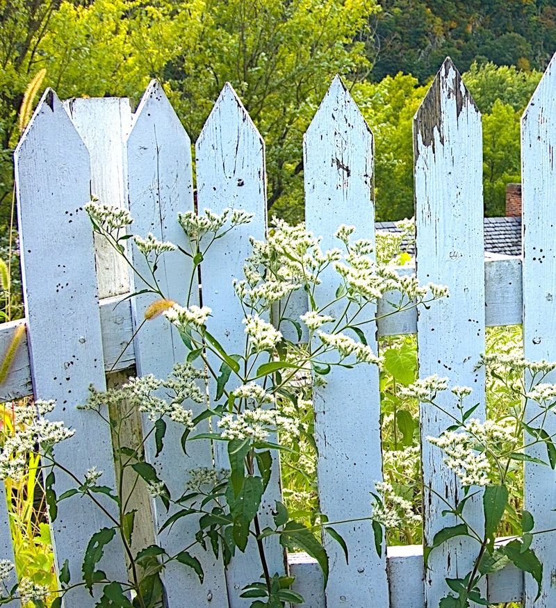 20260928_0006.jpg